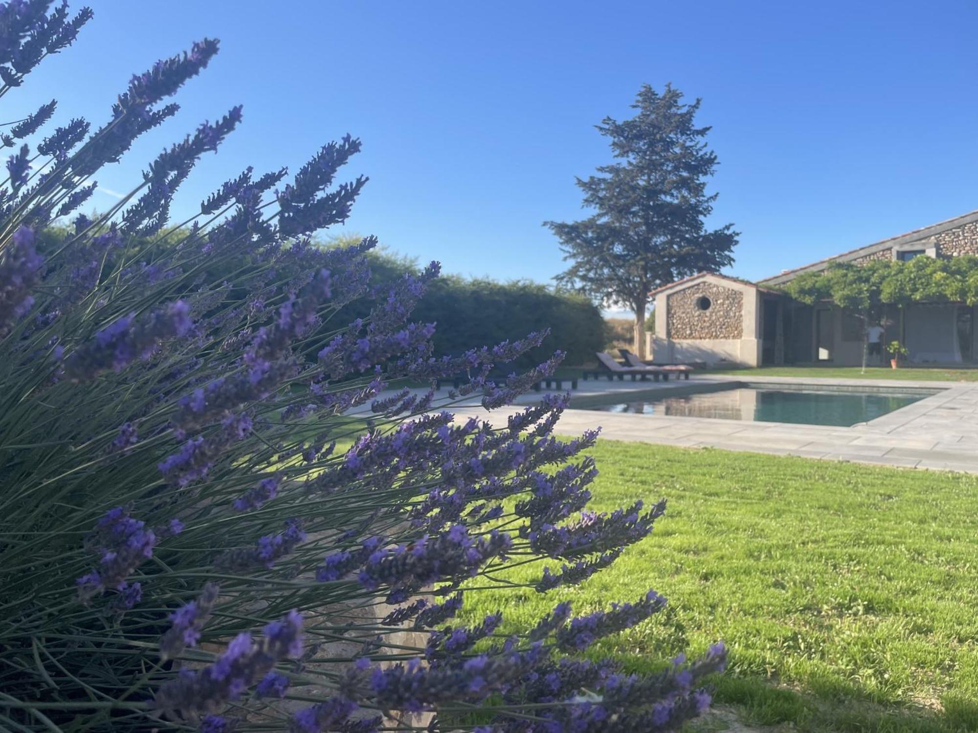 Les Mazets Du Pas Hotell Gréoux-les-Bains Exteriör bild
