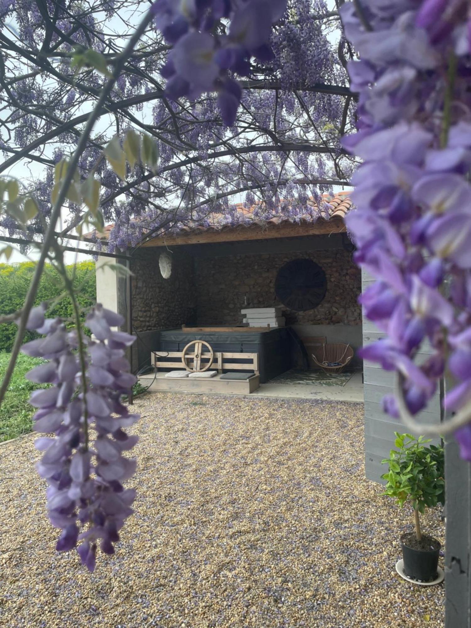 Les Mazets Du Pas Hotell Gréoux-les-Bains Exteriör bild