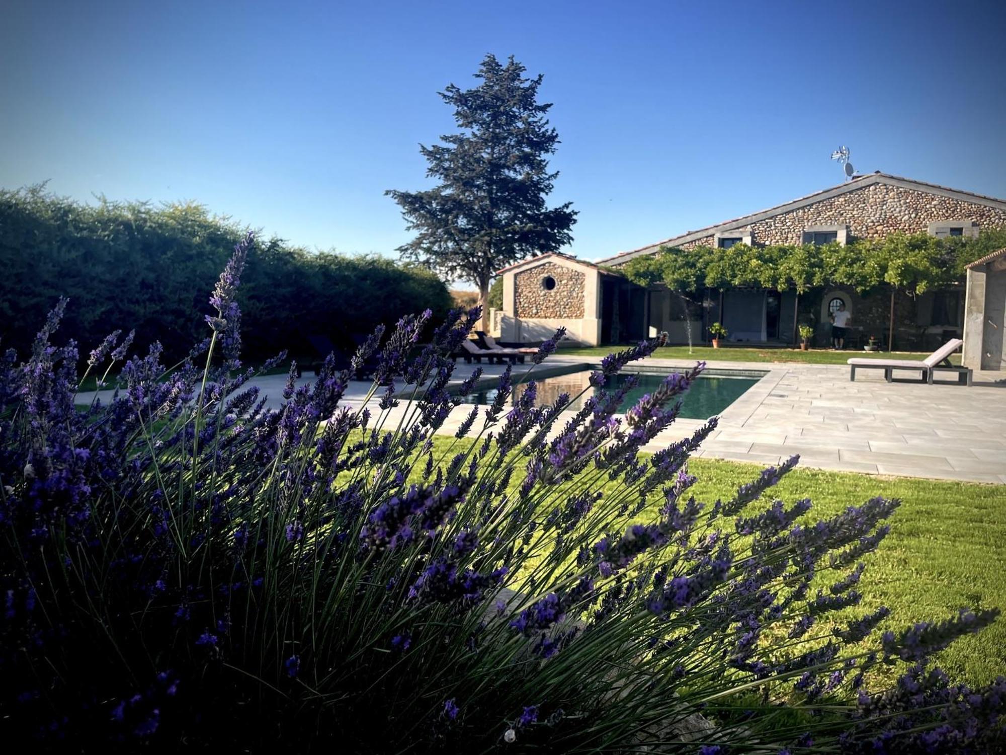 Les Mazets Du Pas Hotell Gréoux-les-Bains Exteriör bild